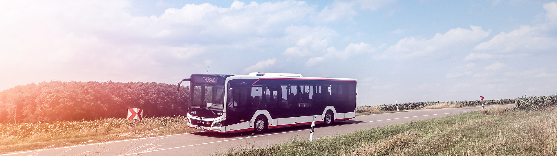 MAN 12C Lions City